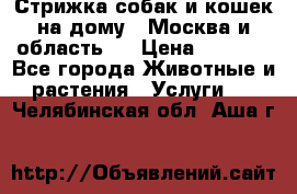 Стрижка собак и кошек на дому.  Москва и область.  › Цена ­ 1 200 - Все города Животные и растения » Услуги   . Челябинская обл.,Аша г.